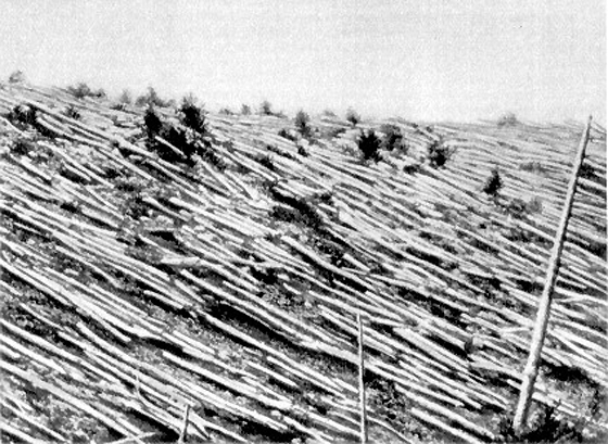 tunguska.jpg