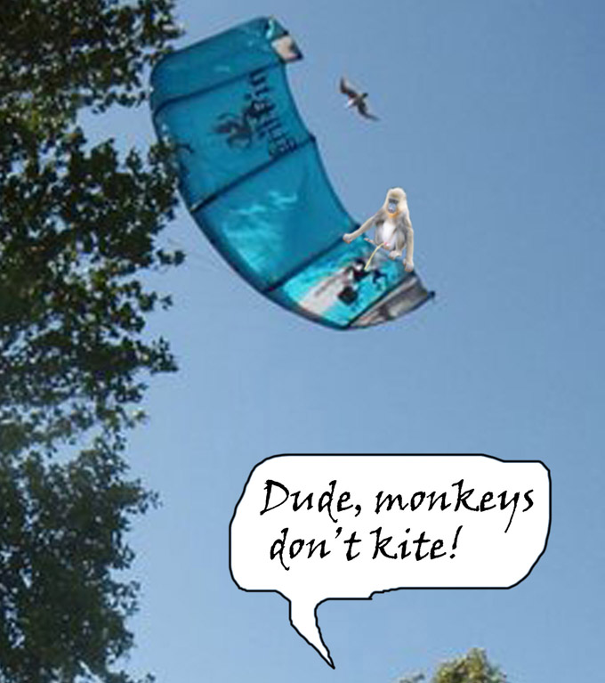 monkeysdontkite.jpg