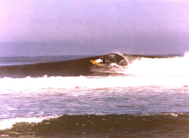 KV Surfing (right)_1.jpg