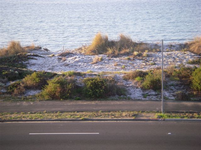 IMGP0097.JPG