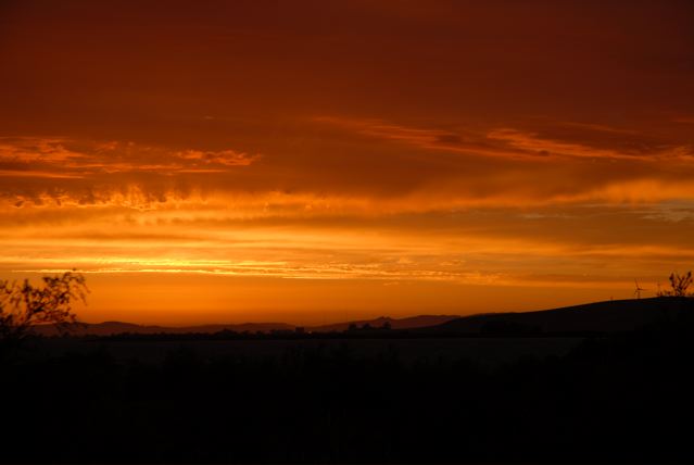 DSC_0363.jpg